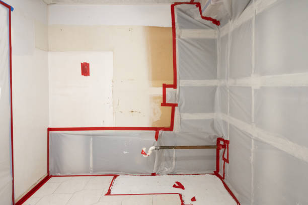 Best Asbestos and Lead Testing During Mold Inspection  in St Joseph, MI