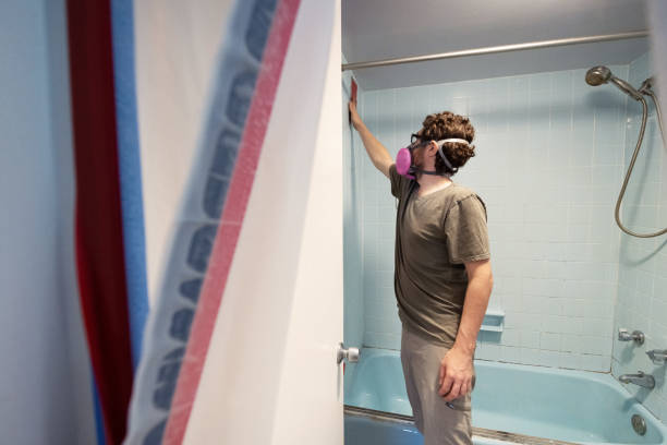 Best Comprehensive Air Testing for Mold Contaminants  in St Joseph, MI