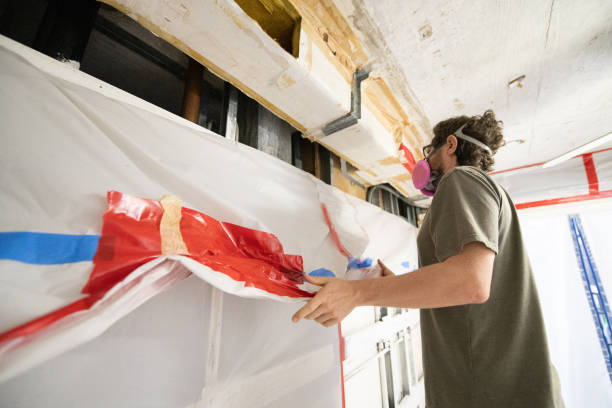 Best Biohazard Mold Removal  in St Joseph, MI