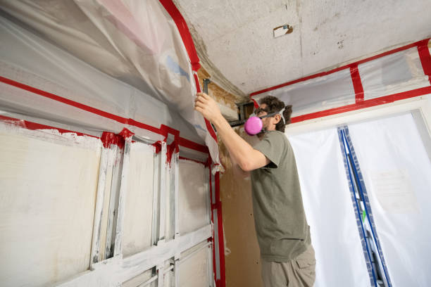 Best Mold Documentation for Insurance Claims  in St Joseph, MI